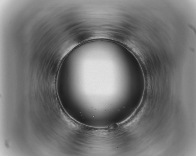 X0000096211137200801251029