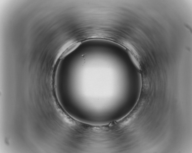 X0000096211138200801251029