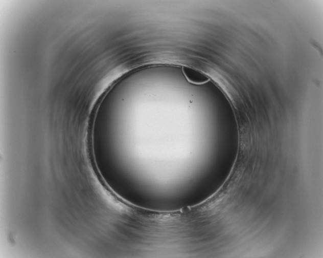 X0000096211139200801251029