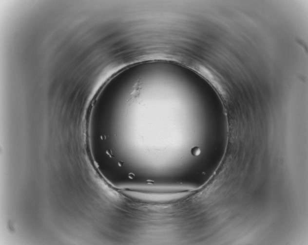 X0000096211140200801251029