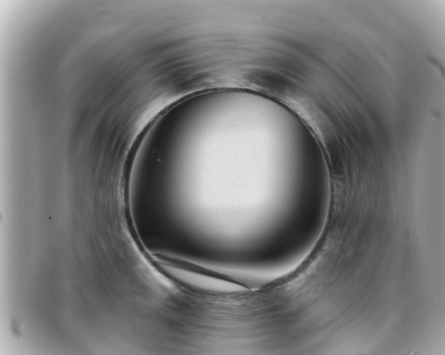 X0000096211141200801251029