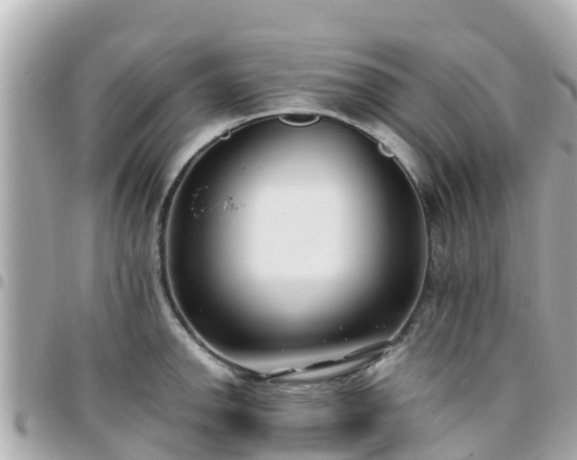 X0000096211142200801251029