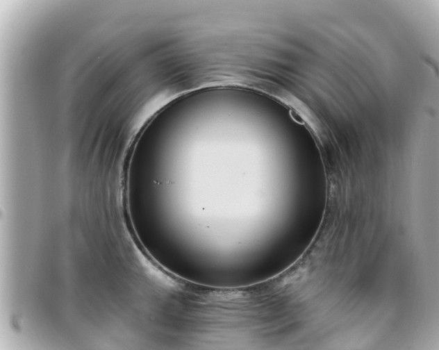 X0000096211143200801251029