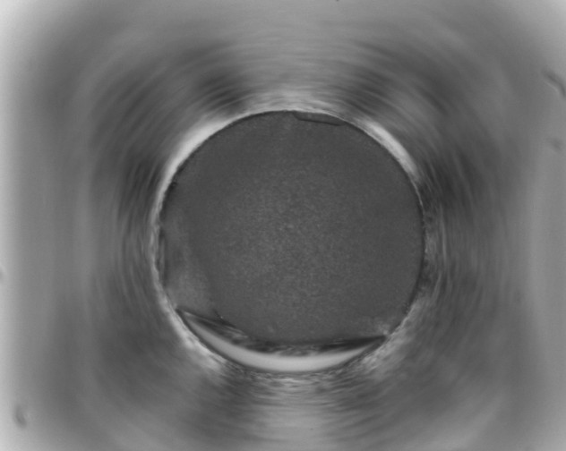 X0000096211144200801251029