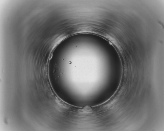 X0000096211145200801251029