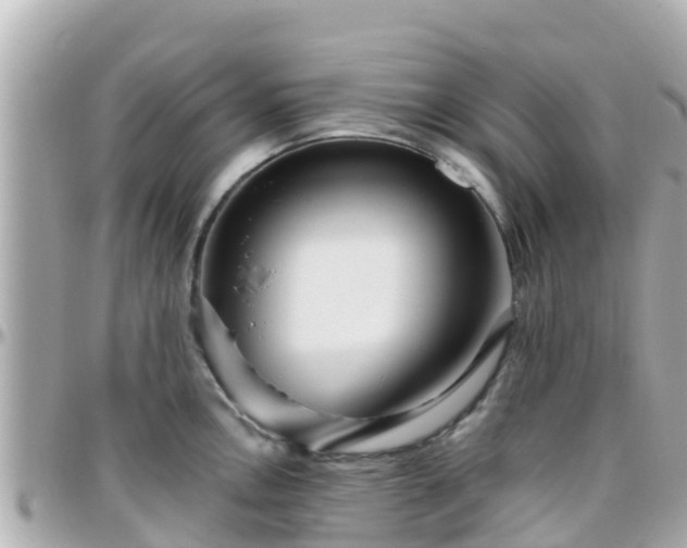 X0000096211146200801251029