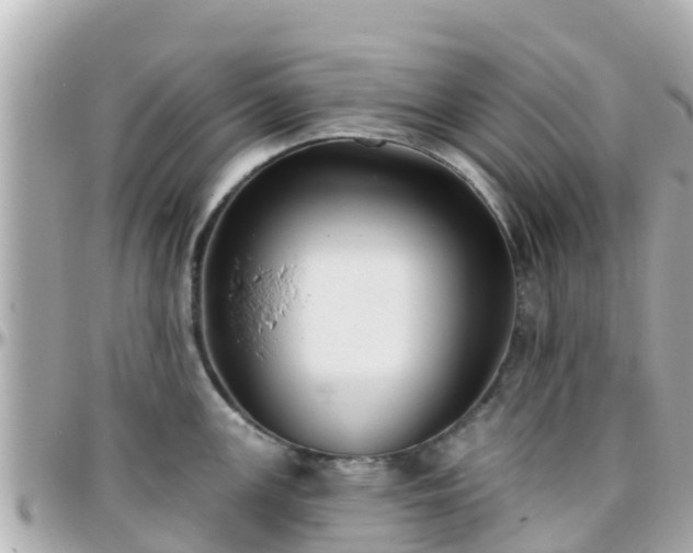 X0000096211147200801251029