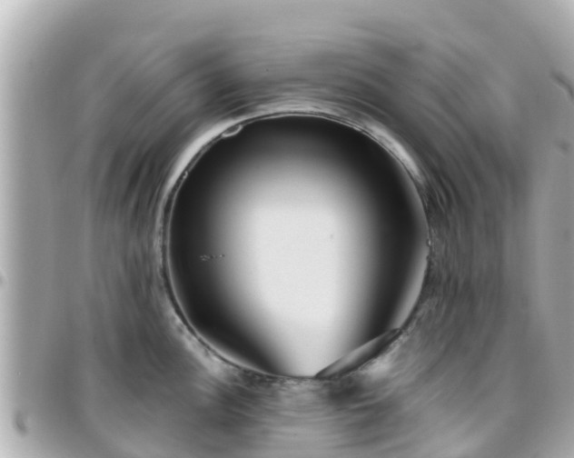 X0000096211148200801251029