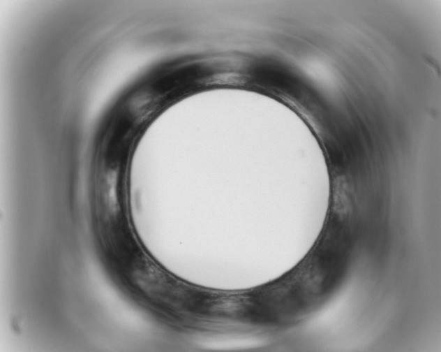 X0000096211150200801251029