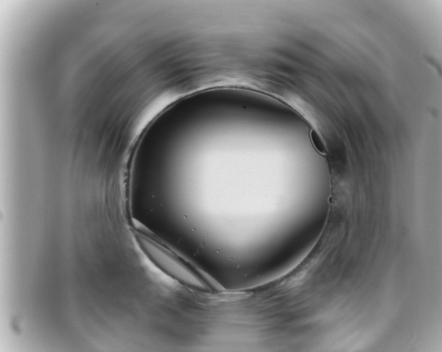 X0000096211151200801251029