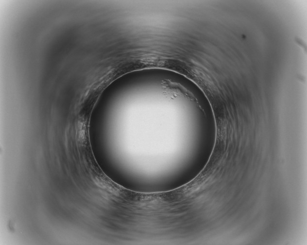 X0000096211154200801251028