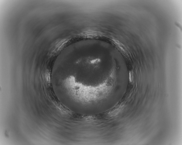 X0000096211155200801251028