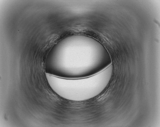 X0000096211156200801251028