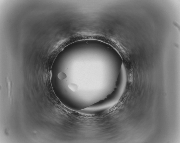 X0000096211157200801251028