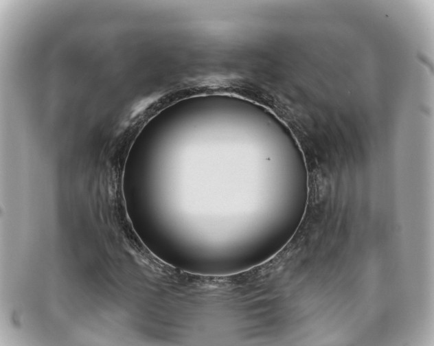 X0000096211158200801251028