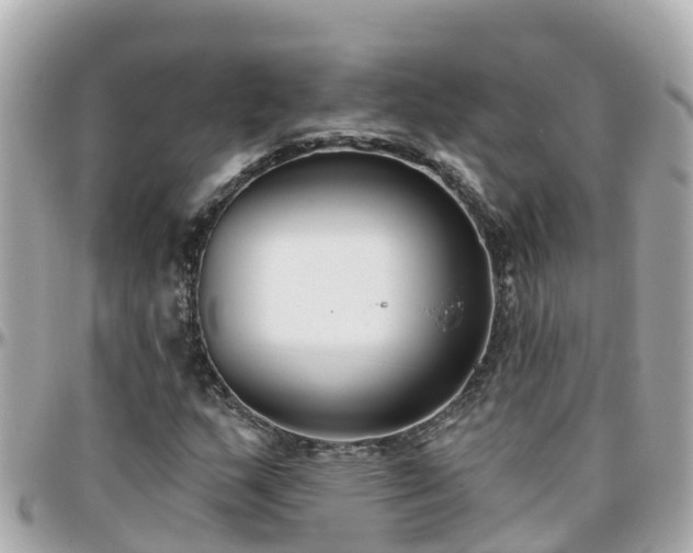 X0000096211159200801251028