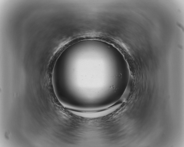 X0000096211160200801251028