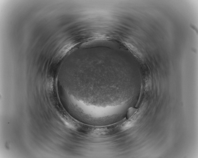 X0000096211161200801251028