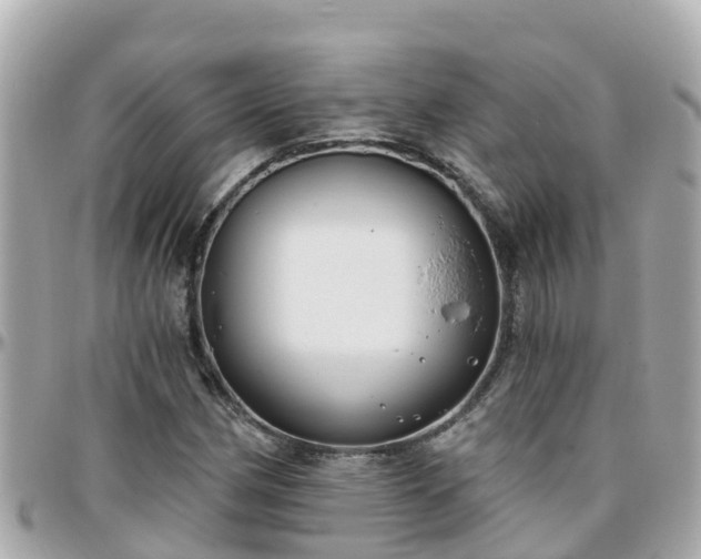 X0000096211162200801251028