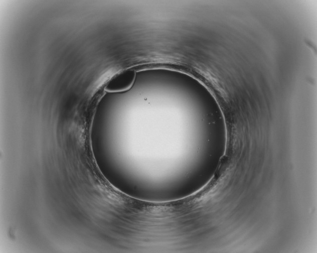 X0000096211163200801251028