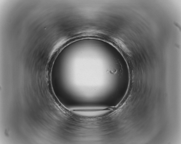 X0000096211164200801251028