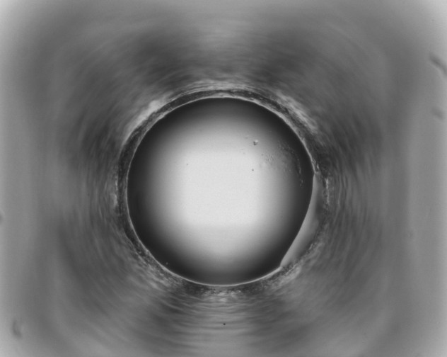 X0000096211165200801251028