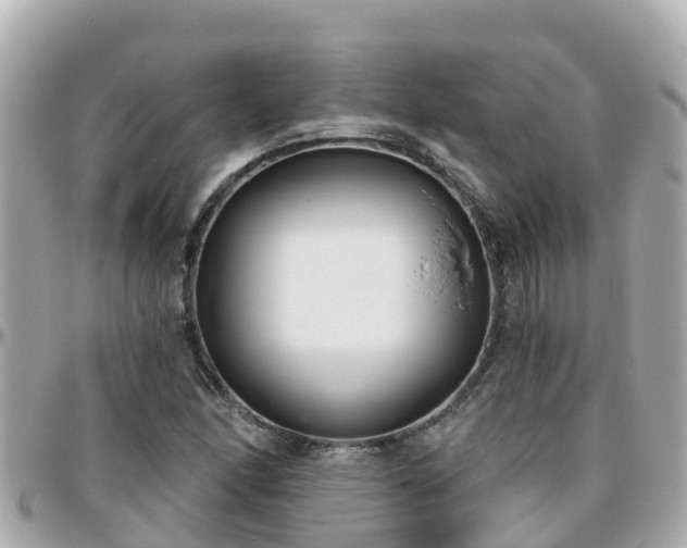 X0000096211166200801251028