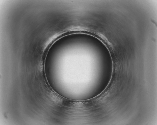 X0000096211167200801251028