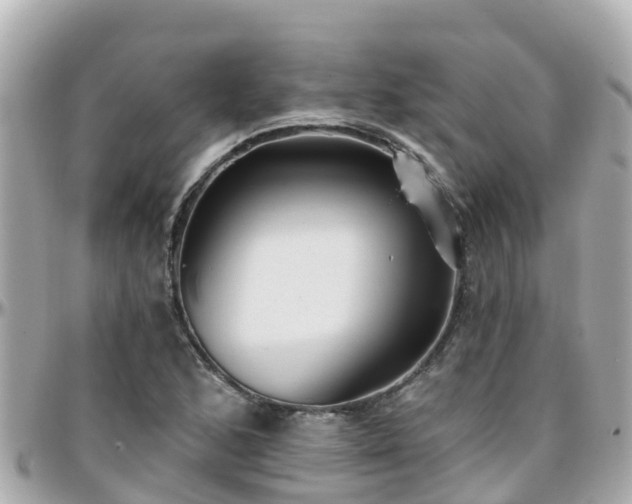 X0000096211168200801251028