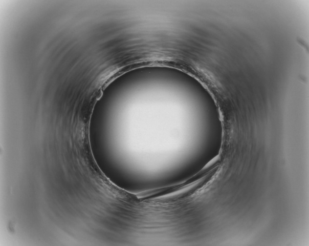 X0000096211169200801251028