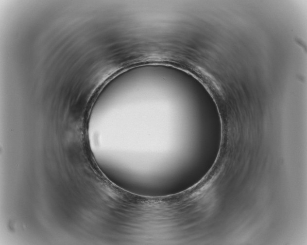 X0000096211170200801251028