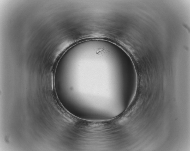 X0000096211171200801251028