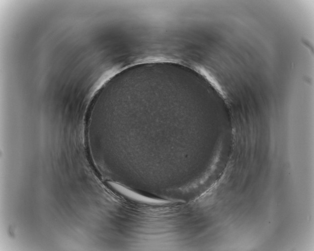 X0000096211173200801251028