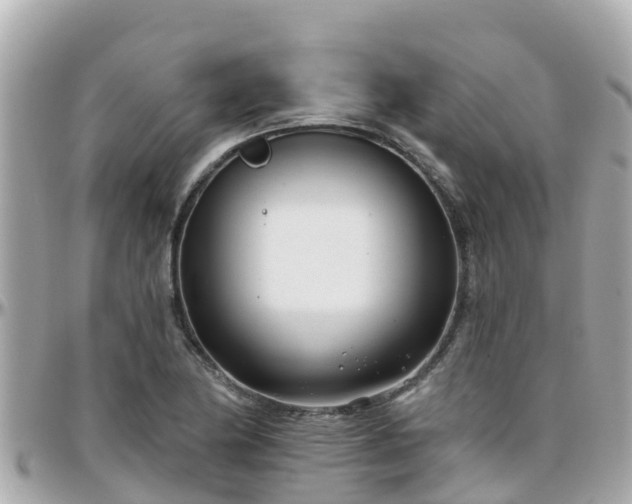 X0000096211174200801251028