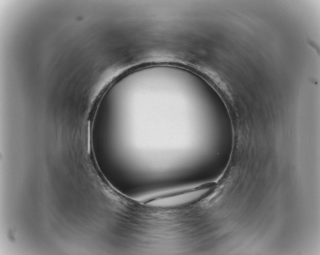 X0000096211175200801251028