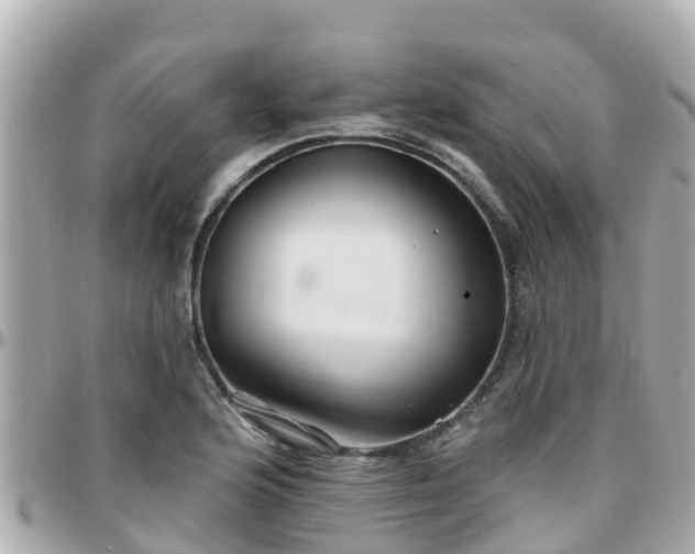 X0000096211176200801251028