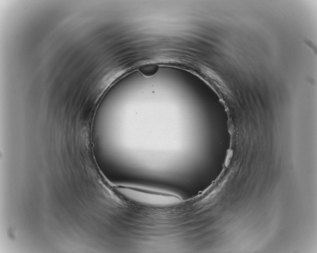 X0000096211177200801251028