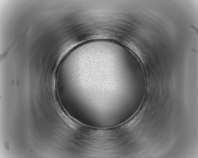 X0000096211179200801251028