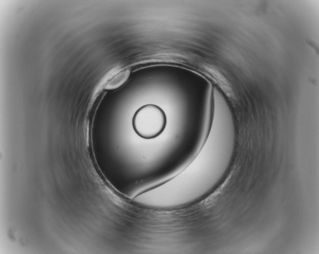 X0000096211180200801251028