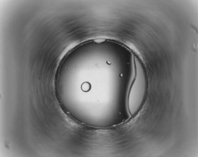 X0000096211181200801251028