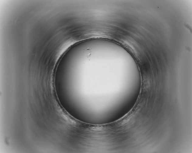 X0000096211182200801251028