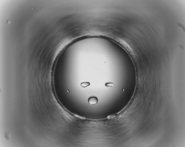 X0000096211183200801251028