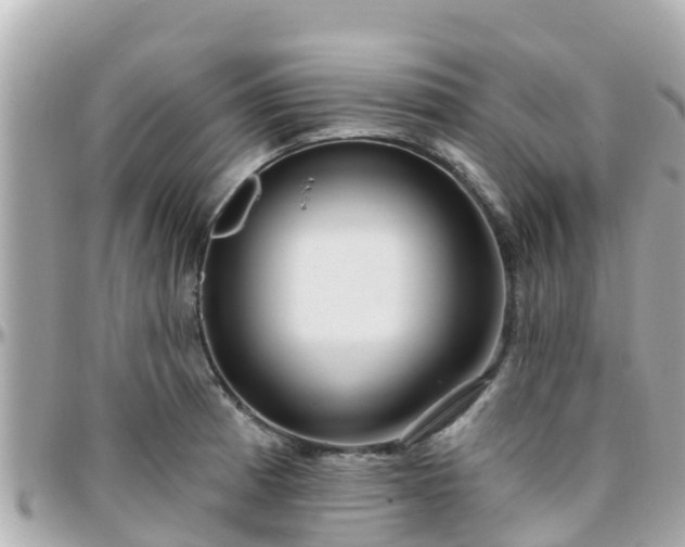 X0000096211185200801251028