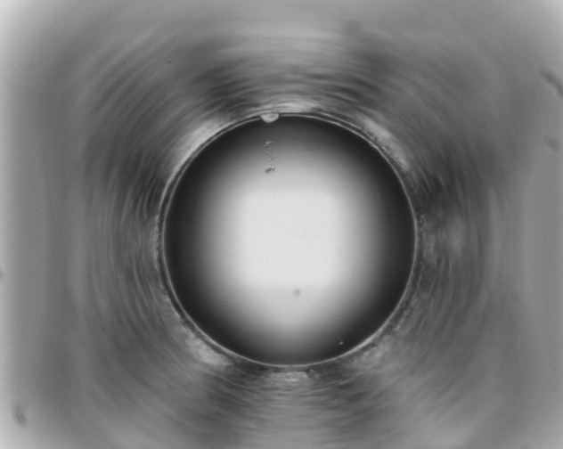 X0000096211186200801251028