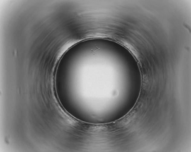 X0000096211187200801251028