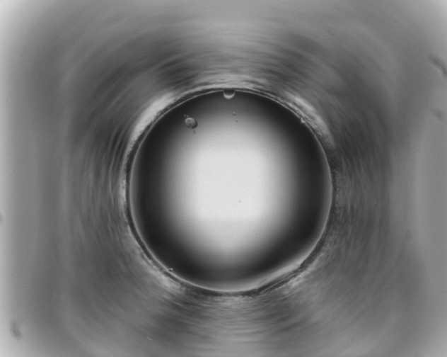 X0000096211188200801251028