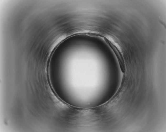 X0000096211189200801251028