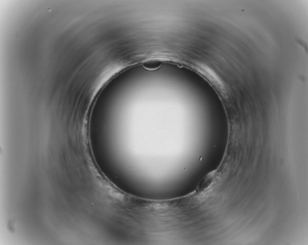 X0000096211190200801251028