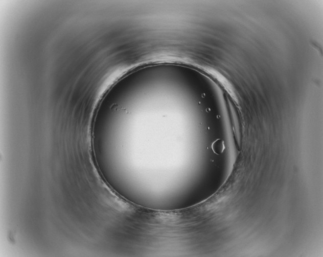 X0000096211191200801251028