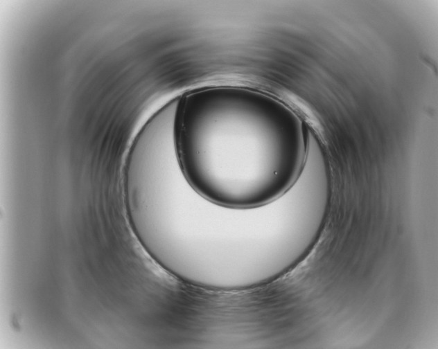 X0000096211192200801251028